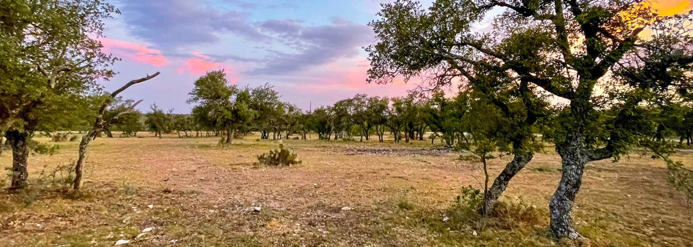 Featured Image for Concho Valley Land Clearing
